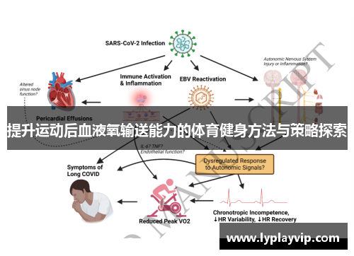 提升运动后血液氧输送能力的体育健身方法与策略探索 提升运动后血液氧输送能力的体育健身方法与策略探索
